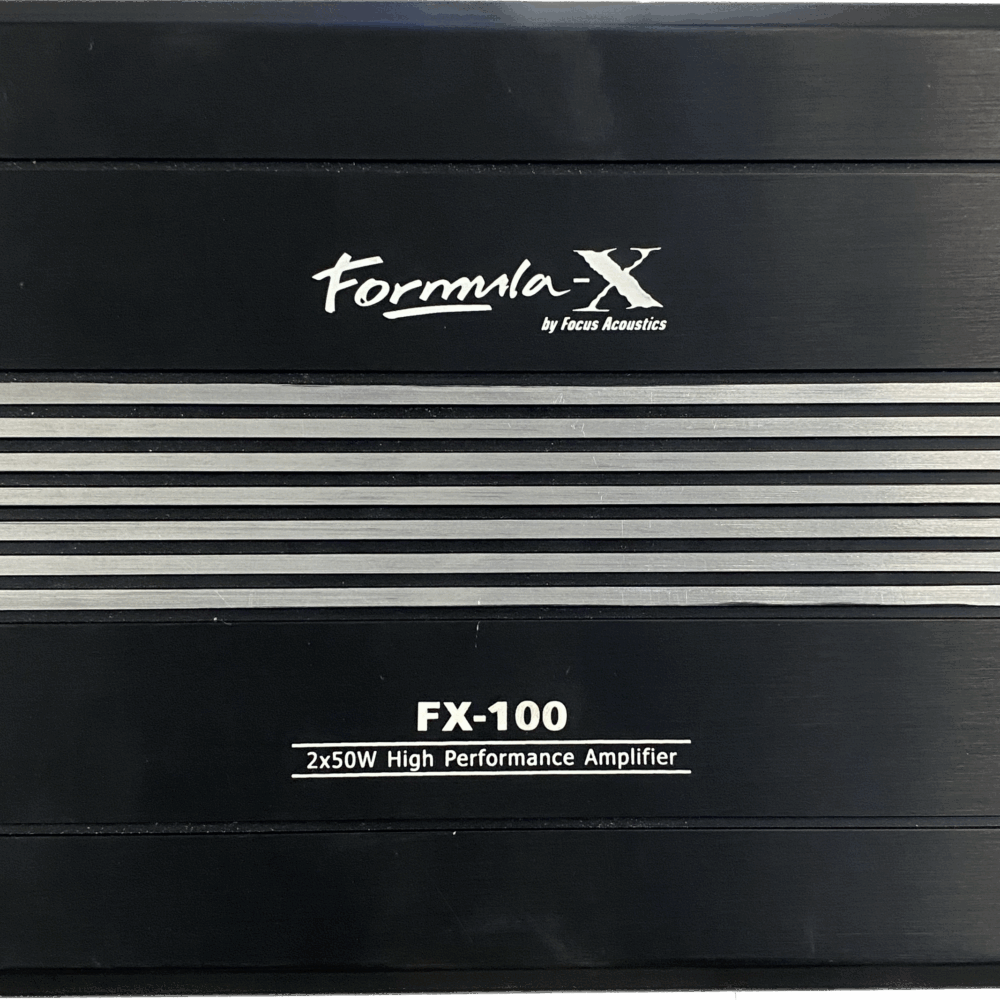 FOCUS ACOUSTICS FX-100